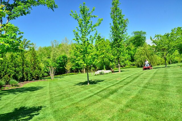 mowing a yard in Charlottesville